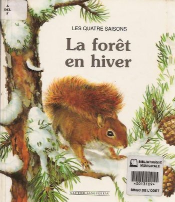 La forêt en hiver