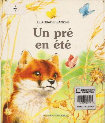 Un pré en été