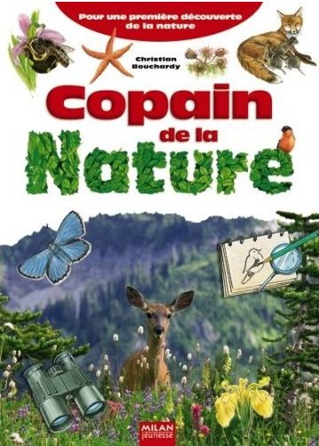 animaux de la forêt