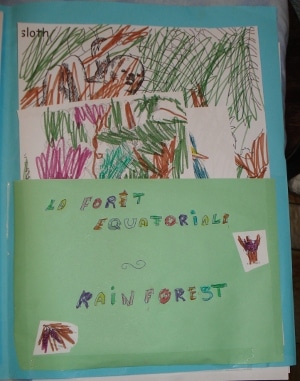 animaux de la forêt