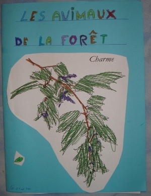 animaux de la forêt