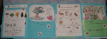 animaux de la forêt