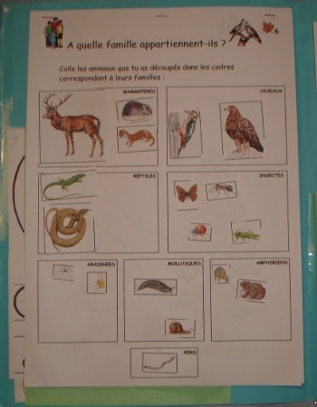 animaux de la forêt