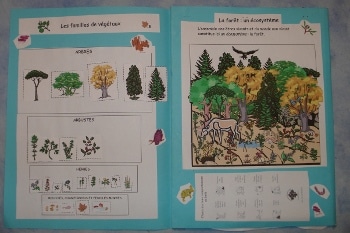 animaux de la forêt