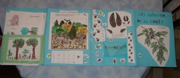 animaux de la forêt