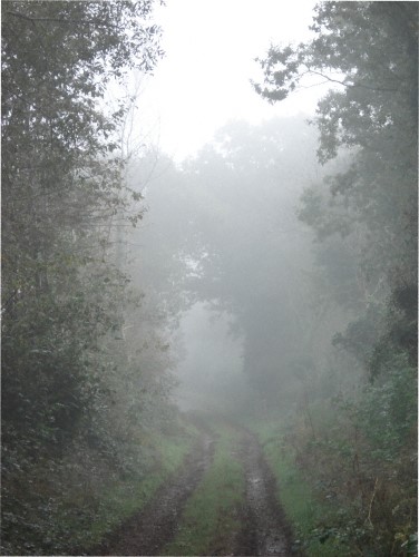 brume