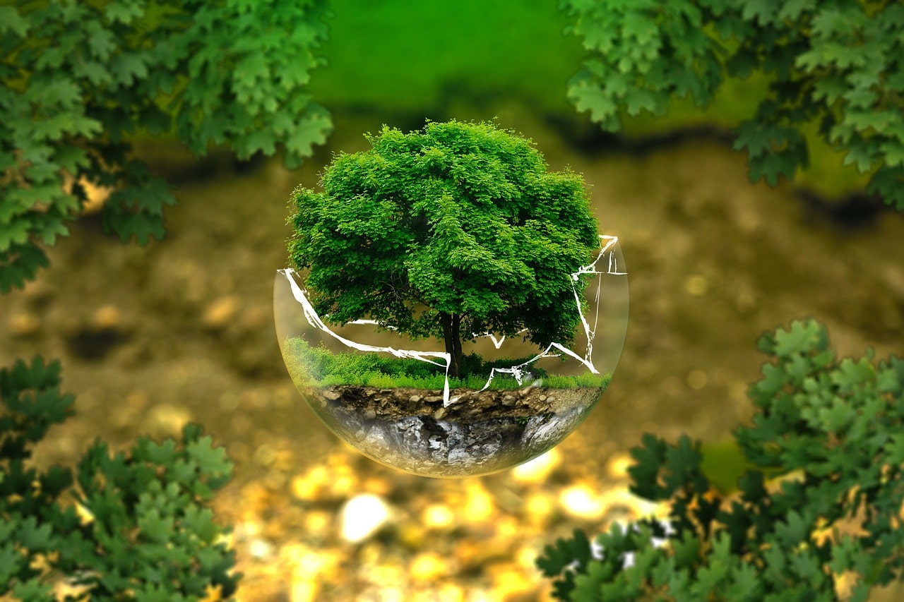 Souveraineté et Écologie