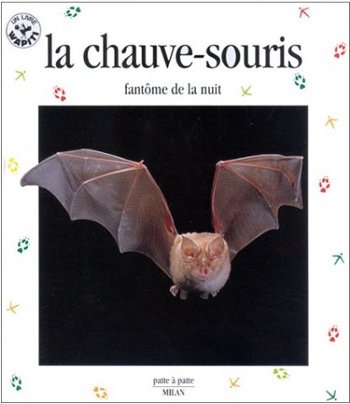 Lapbook Les Chauves-souris