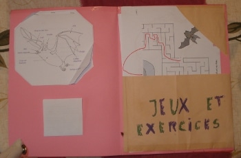 Lapbook Les Chauves-souris