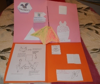 Lapbook Les Chauves-souris