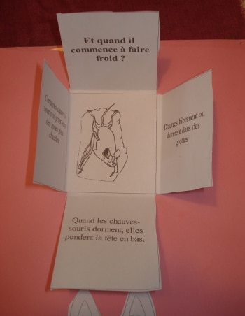 Lapbook Les Chauves-souris