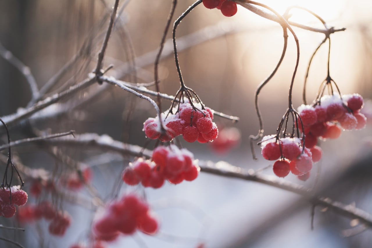 Vacances d'hiver