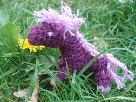 petits poneys