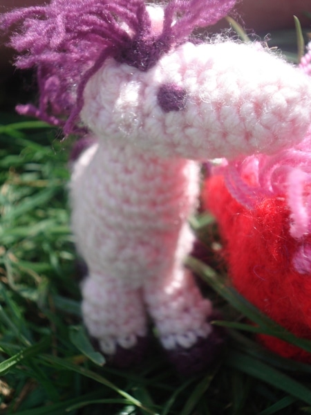 petits poneys