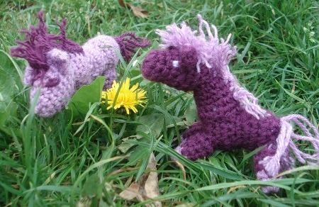 petits poneys