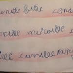 au pays des fleurs