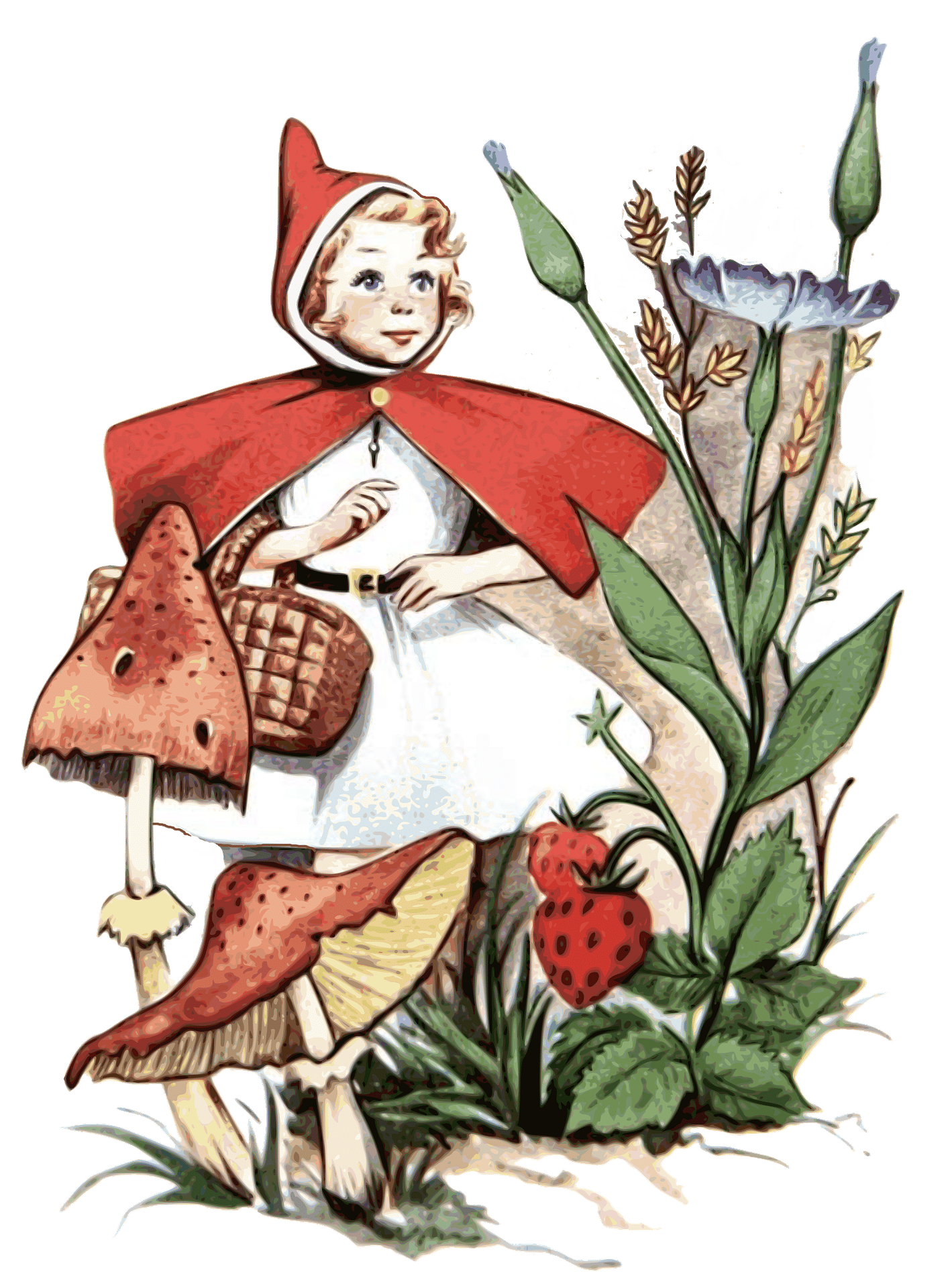 Psychanalyse des contes de fées