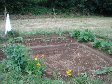 potager