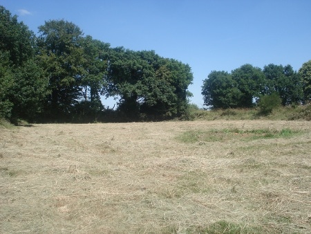 enfance à la campagne