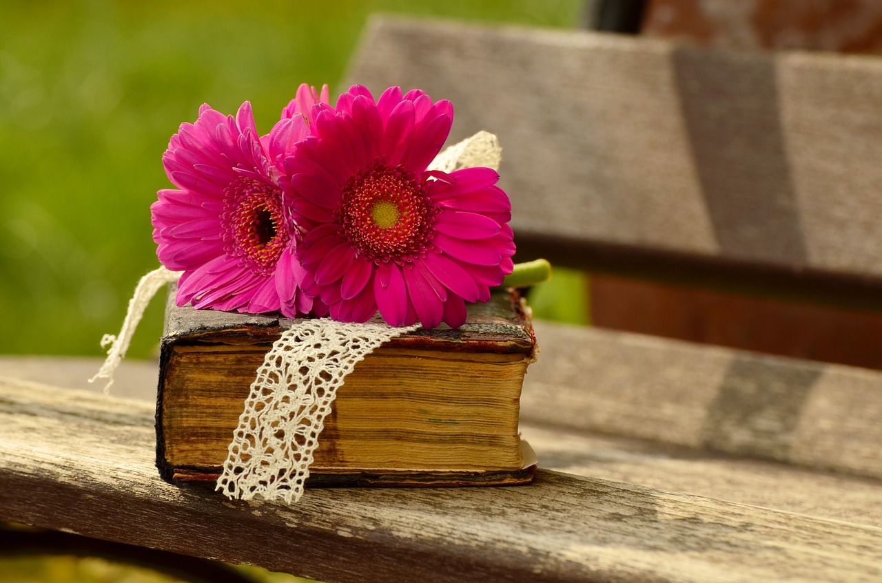 manuels pour enseignants Steiner