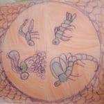 Mandala libellule