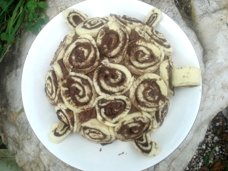 Le mandala tortue