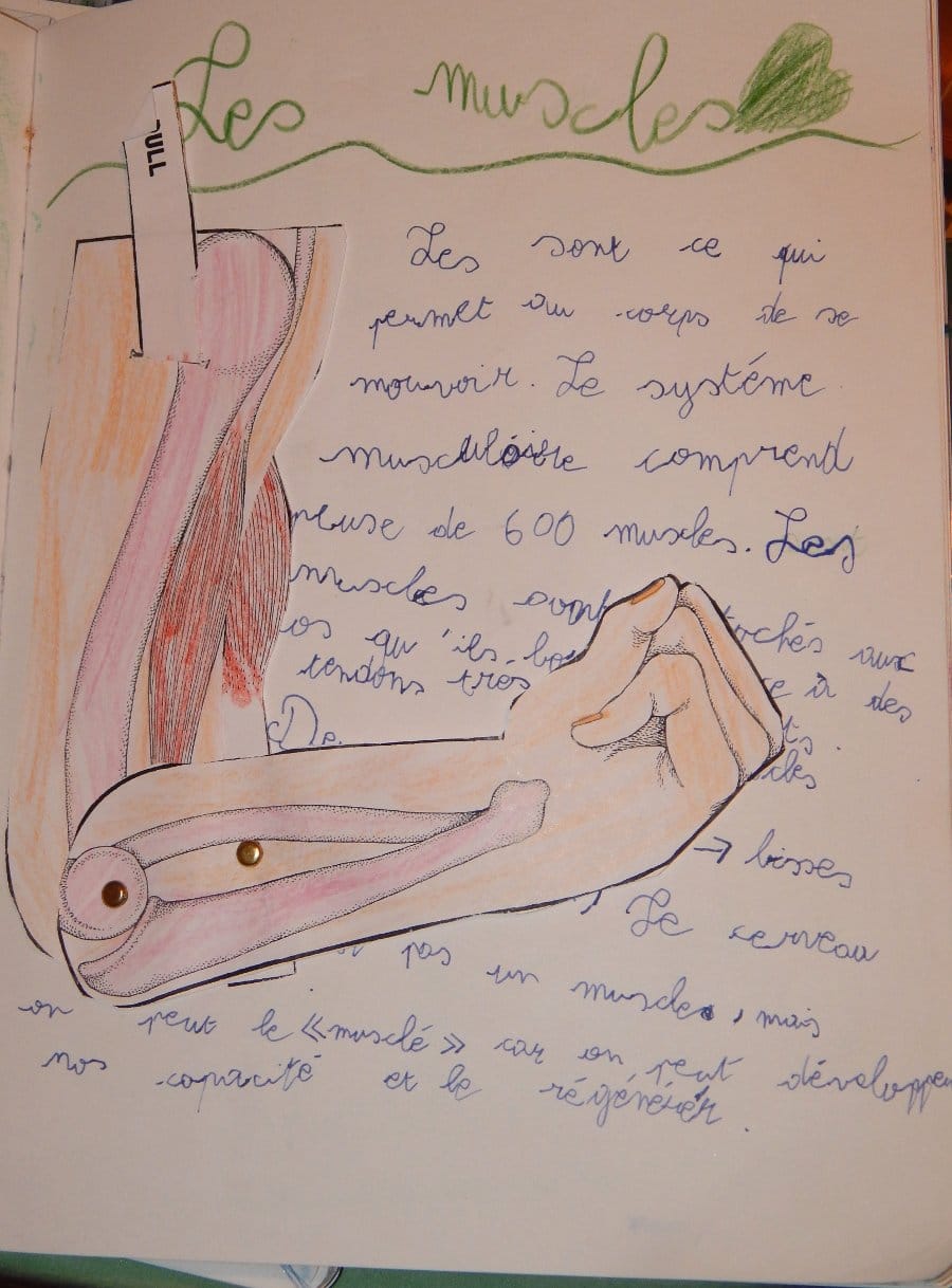 zoologie