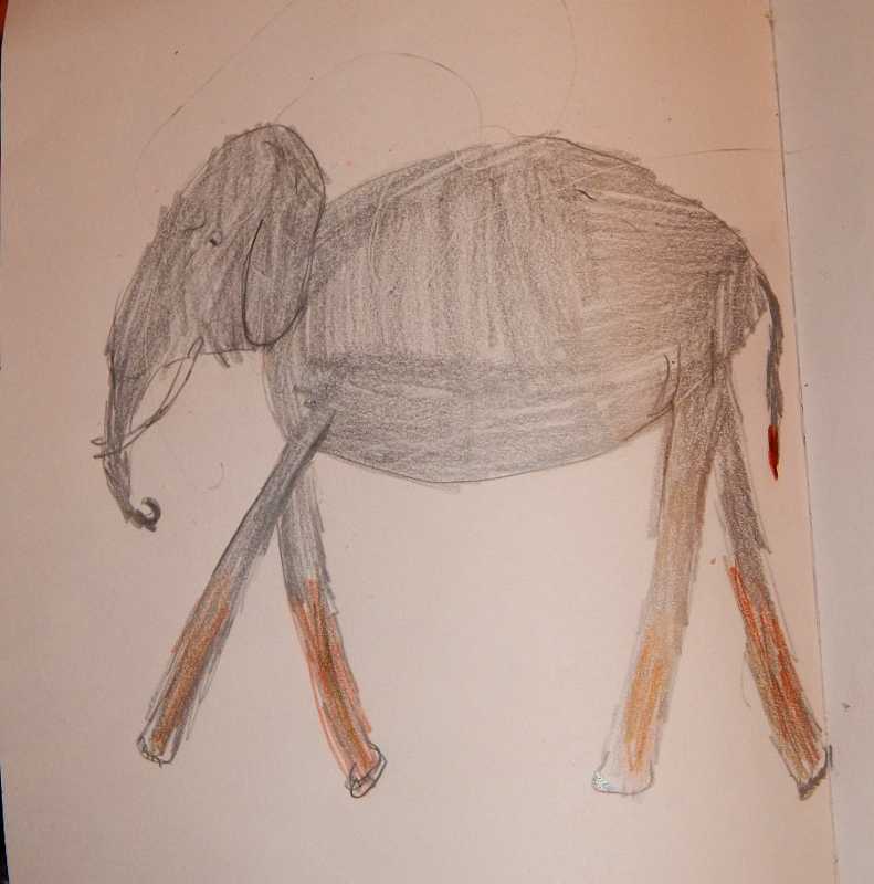 zoologie