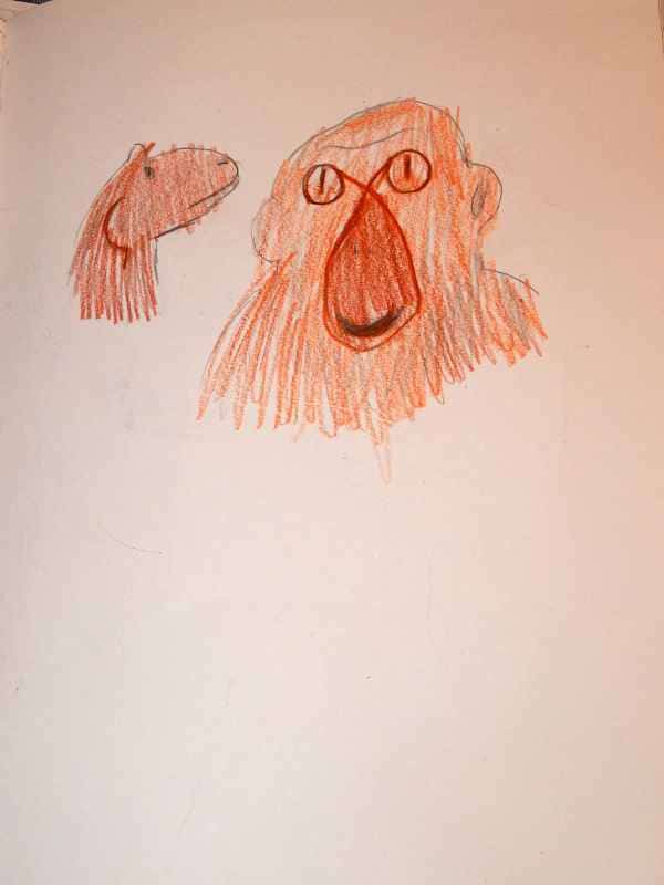 zoologie