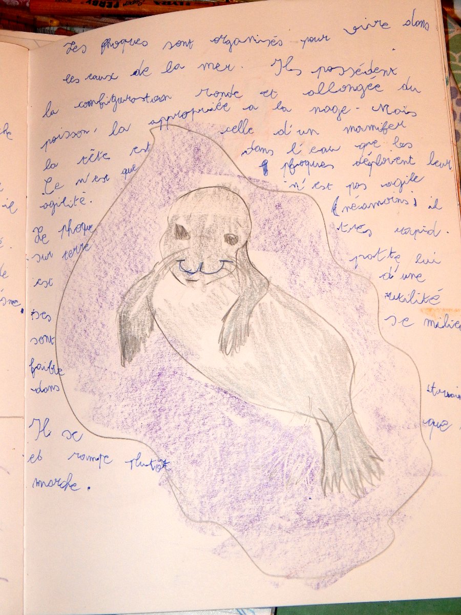 zoologie