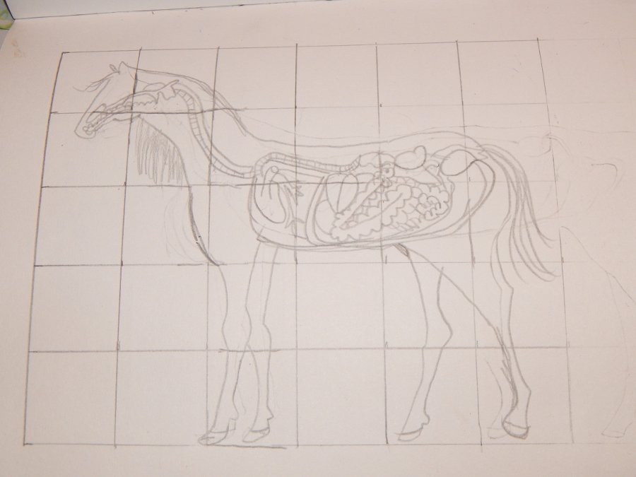 zoologie