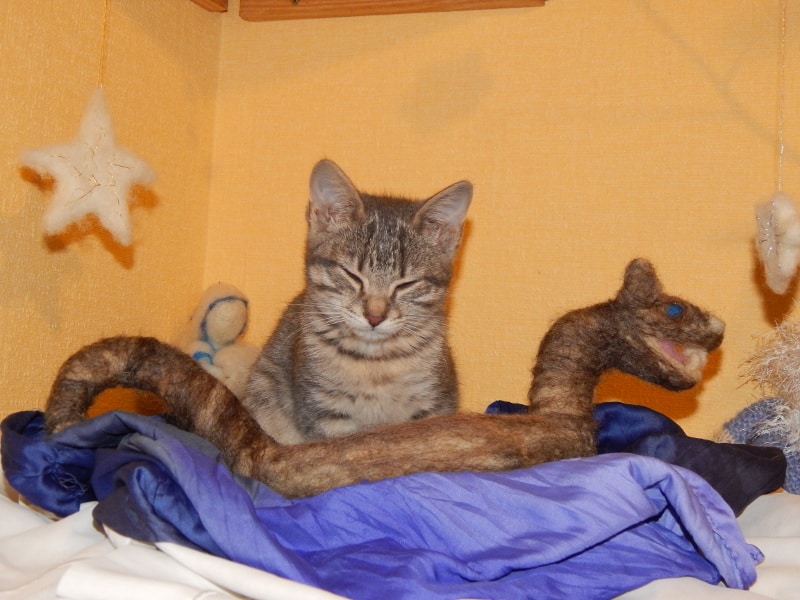 Edda