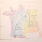 géographie classe 5