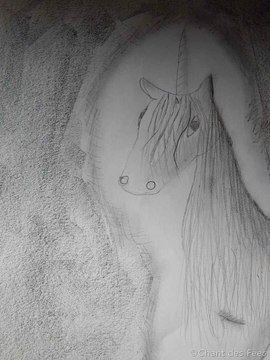 dessin noir et blanc