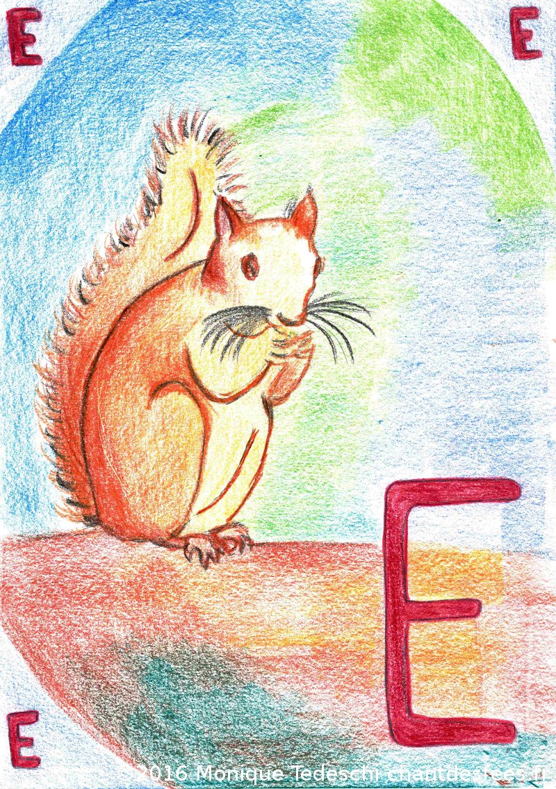 E 1