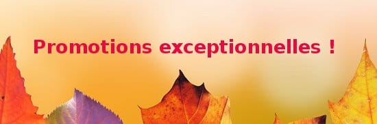 Bannière promotion