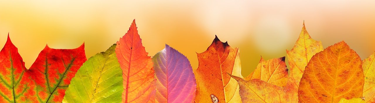 promotions sur Chant des Fées