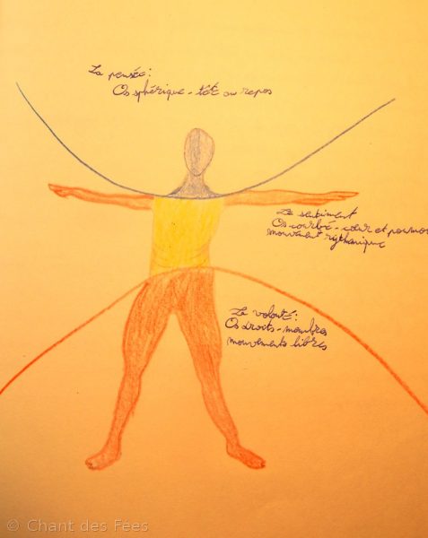 physiologie