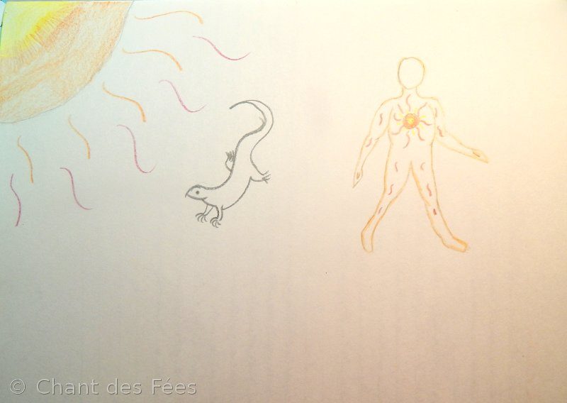 physiologie