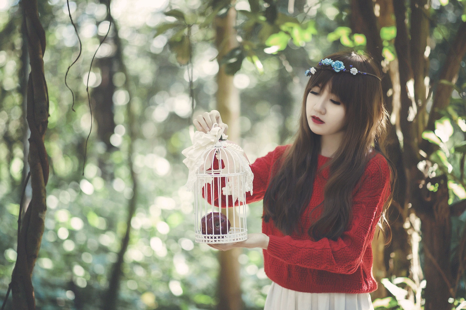 cerveau des adolescents