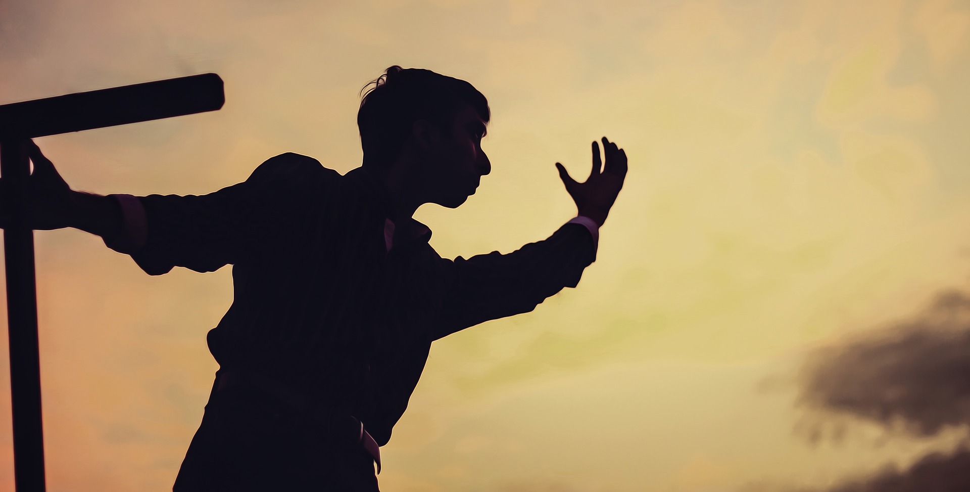 cerveau des adolescents