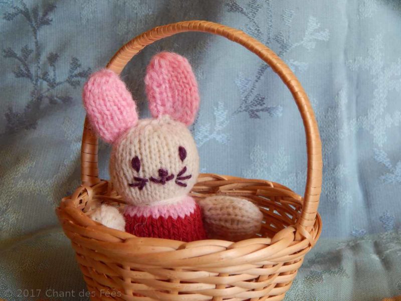 Lapin de poche 03