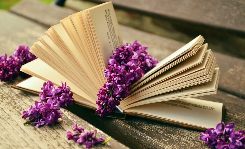 vieux manuels