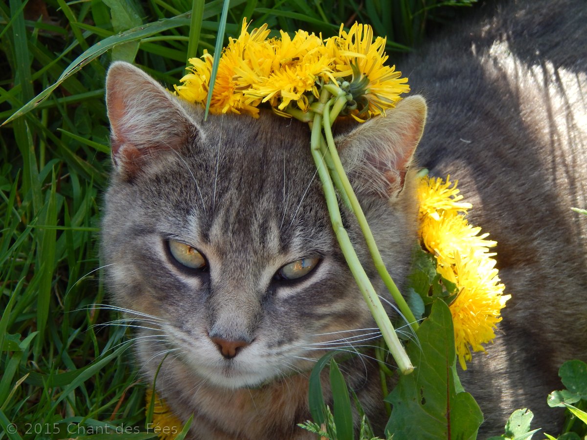 Beltane