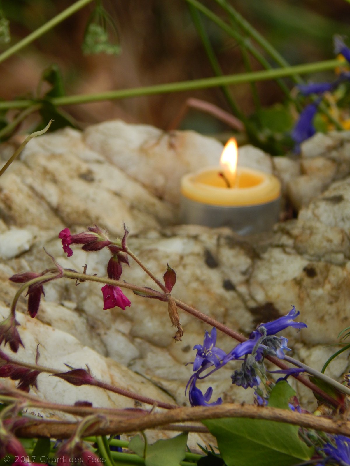beltane en famille