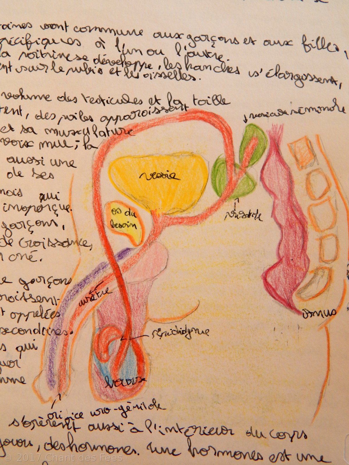 Sciences