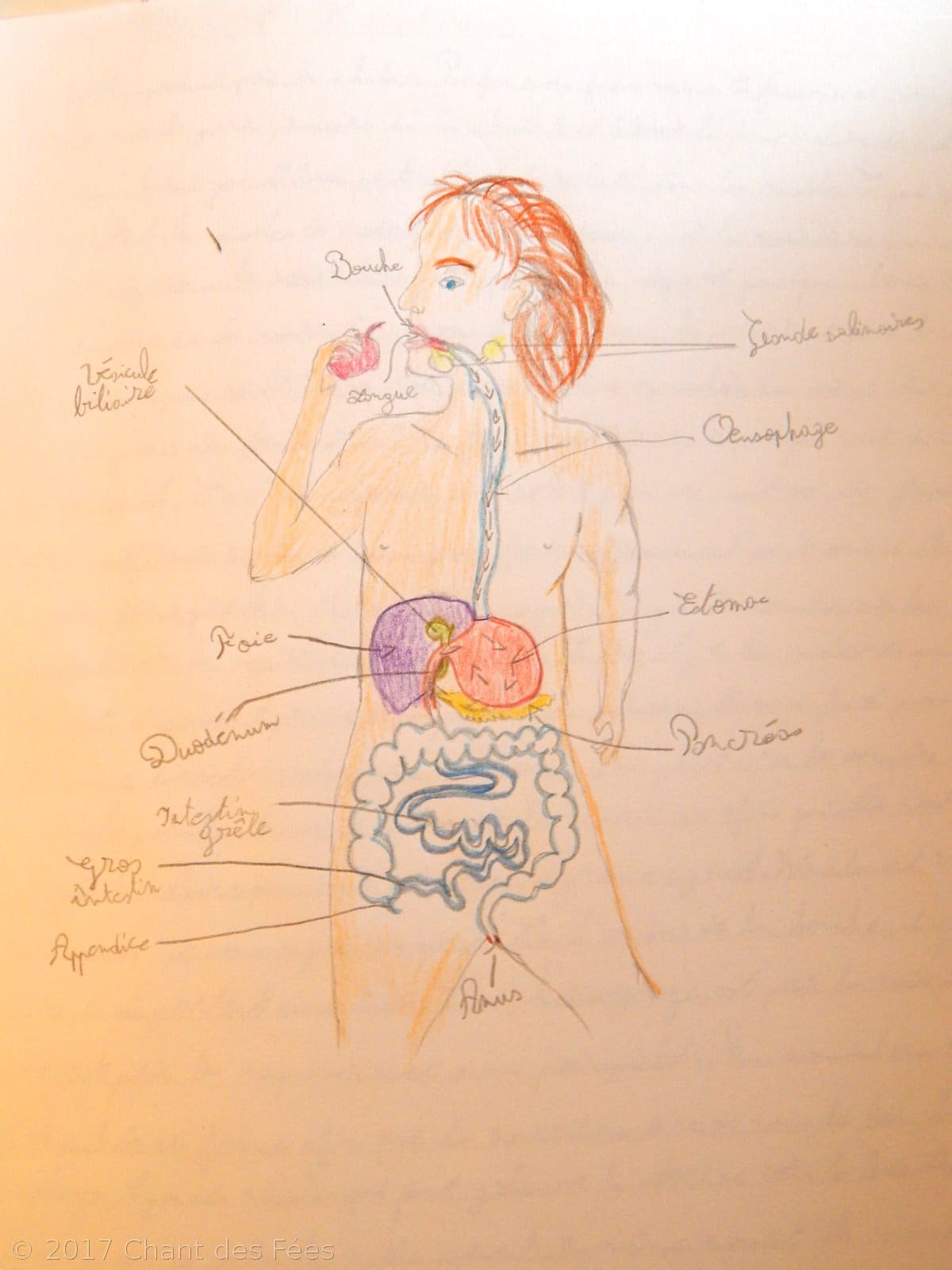 Sciences