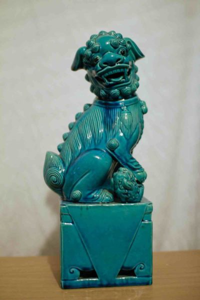 année du chien