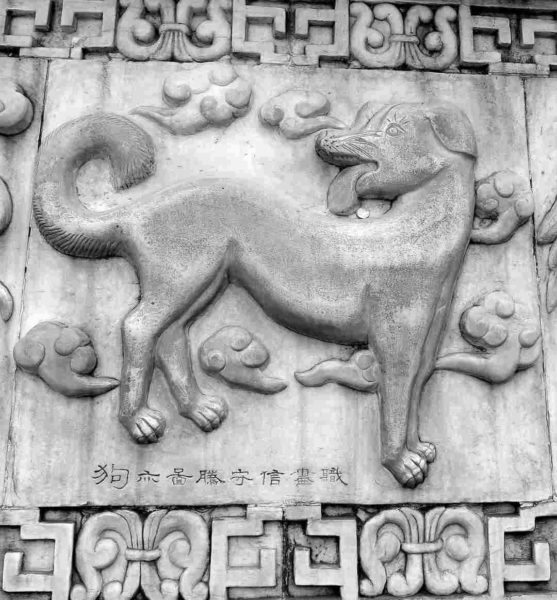 année du chien
