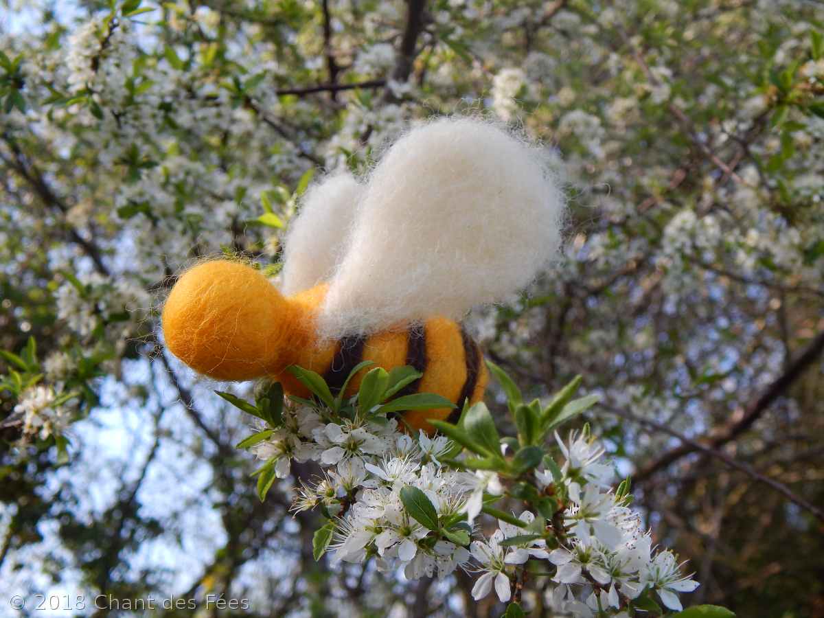 activités de Beltane